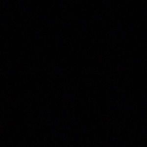 Meet your Posher, Max